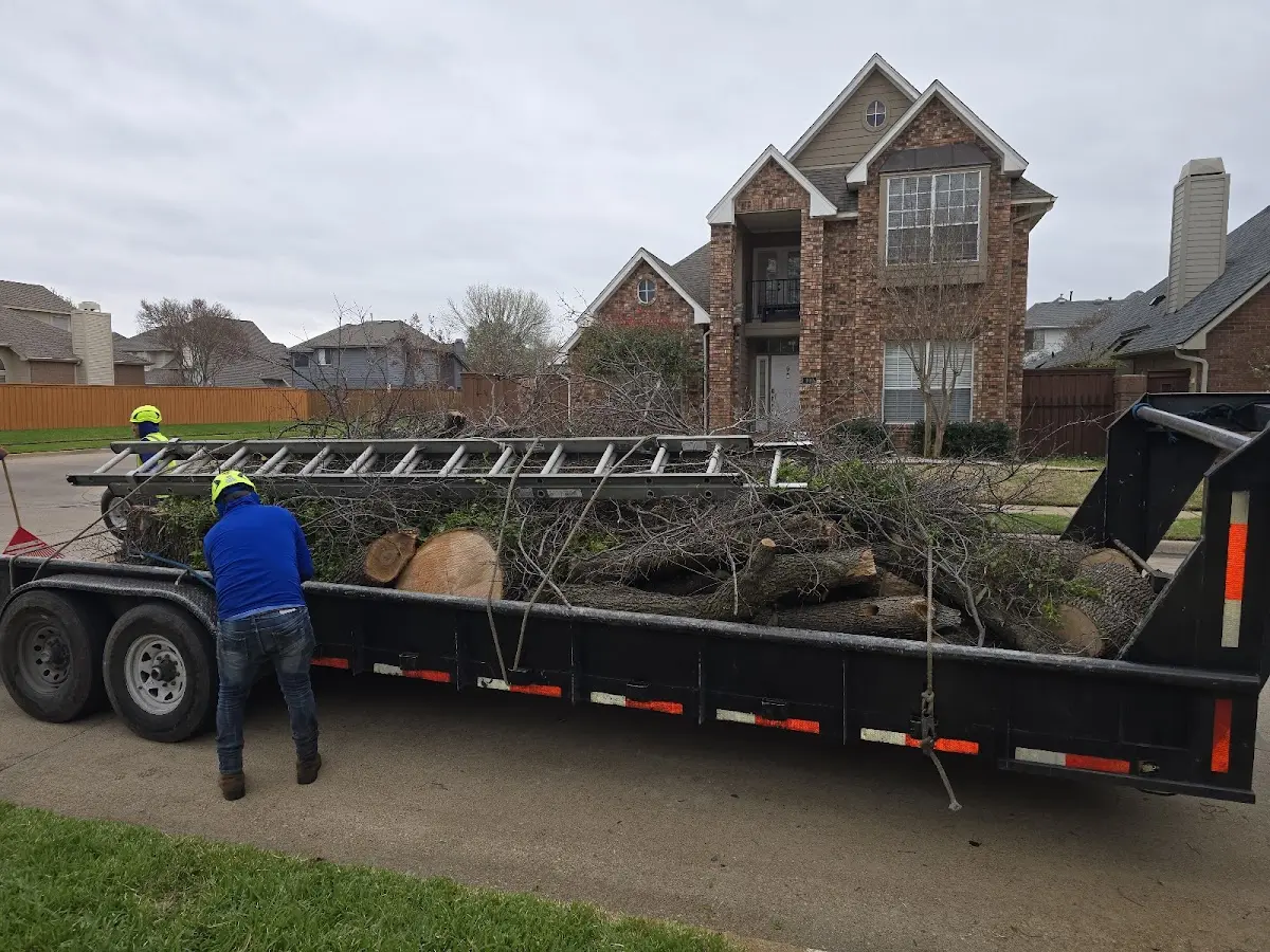 Expert Tree Fertilization with proper safety equipment in Berea